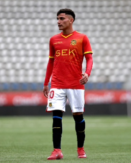 Felipe-Erices