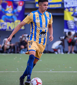 Vicente Vega